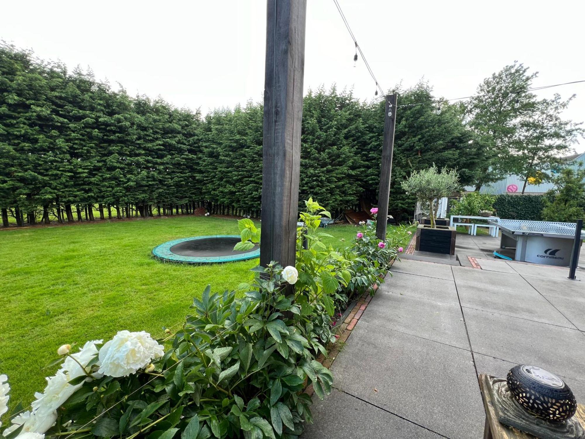 Paauwze Bed & Breakfast Rijnsburg Bagian luar foto